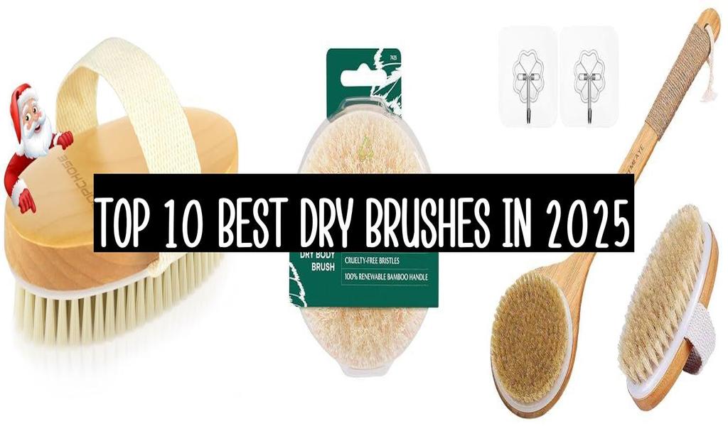 Top 10 Best Dry Brushes  In 2025